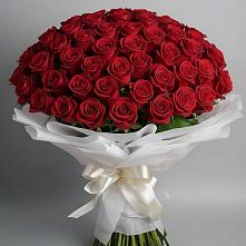 Букет 101 Красная роза Блэк Мэджик в Михайловке Приморский край
