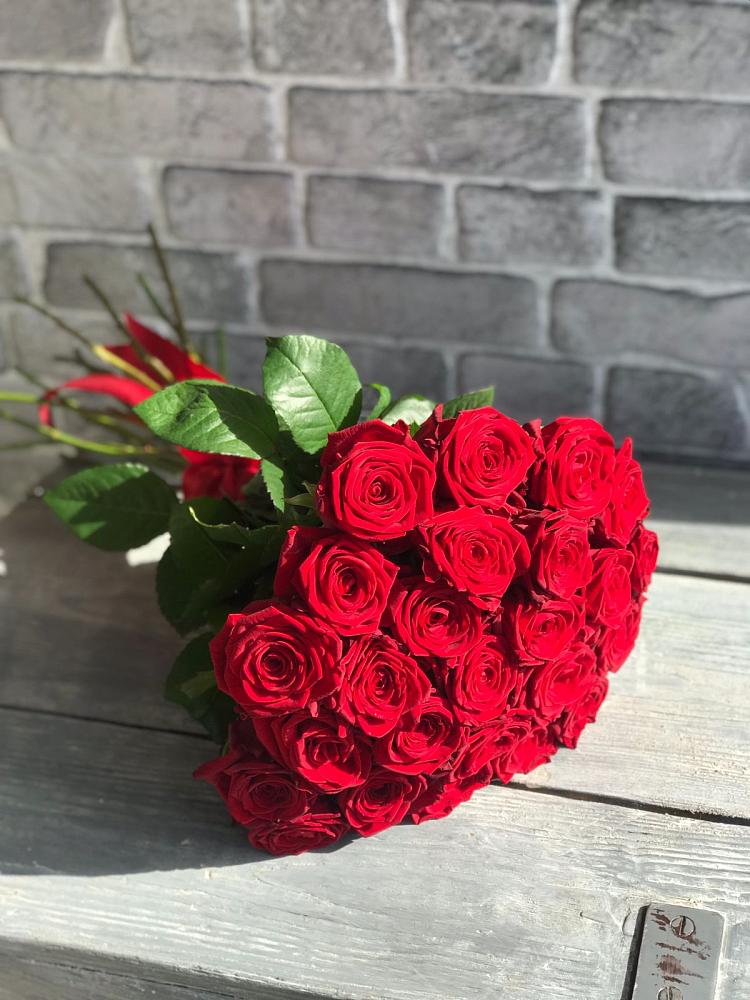 Букет Красные розы Фридом в Михайловке Приморский край