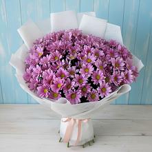 Букет цветов из:  Хризантемы в Михайловке Приморский край