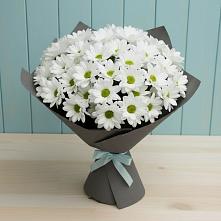 Букет цветов из:  Хризантемы #REPLACE_PRED# Михайловке Приморский край