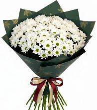 Букет цветов из:  Хризантемы в Михайловке Приморский край