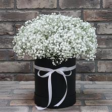 Цветочная композиция из Гипсофила в шляпной коробке в Михайловке Приморский край