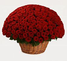 Премиум букет из: Розы в Михайловке Приморский край