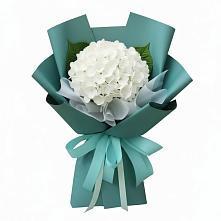 Букет цветов из:  Гортензия #REPLACE_PRED# Михайловке Приморский край